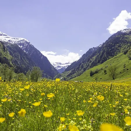 Hochalmbahnen Chalets 9W1, Kastanie, Nahe Gondel * Rauris