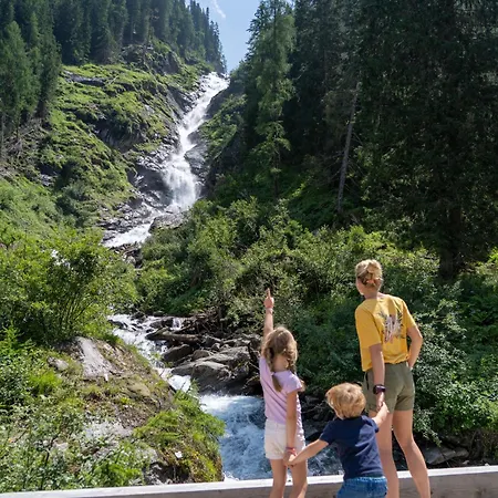 Hochalmbahnen 9w1, Kastanie, Nahe Gondel * Rauris