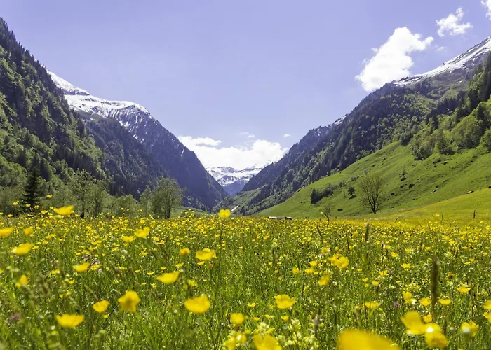 Hochalmbahnen Chalets 9W1, Kastanie, Nahe Gondel * 라우리스